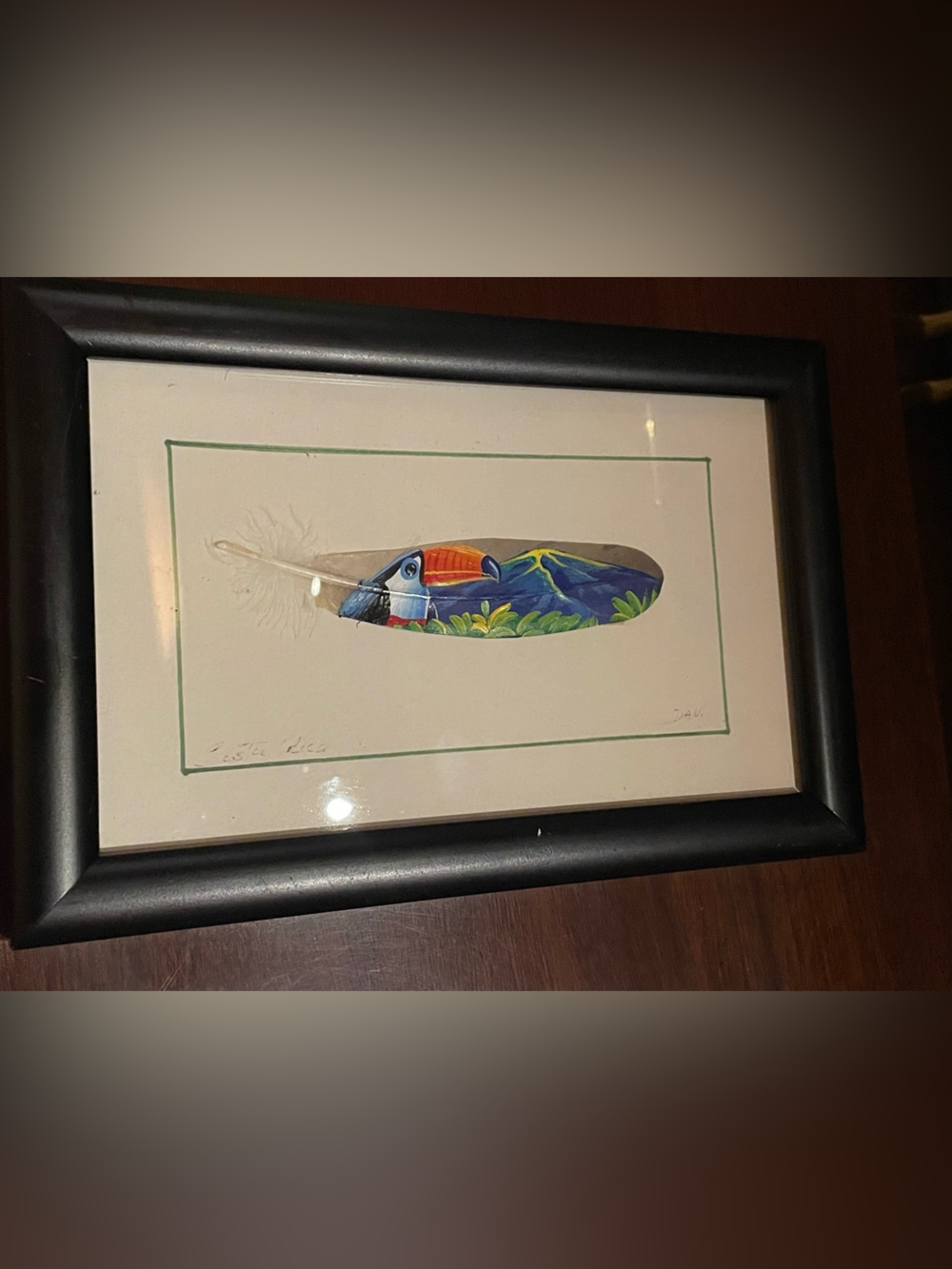 Hand-Painted Feather Wall Art - Toucan Design
